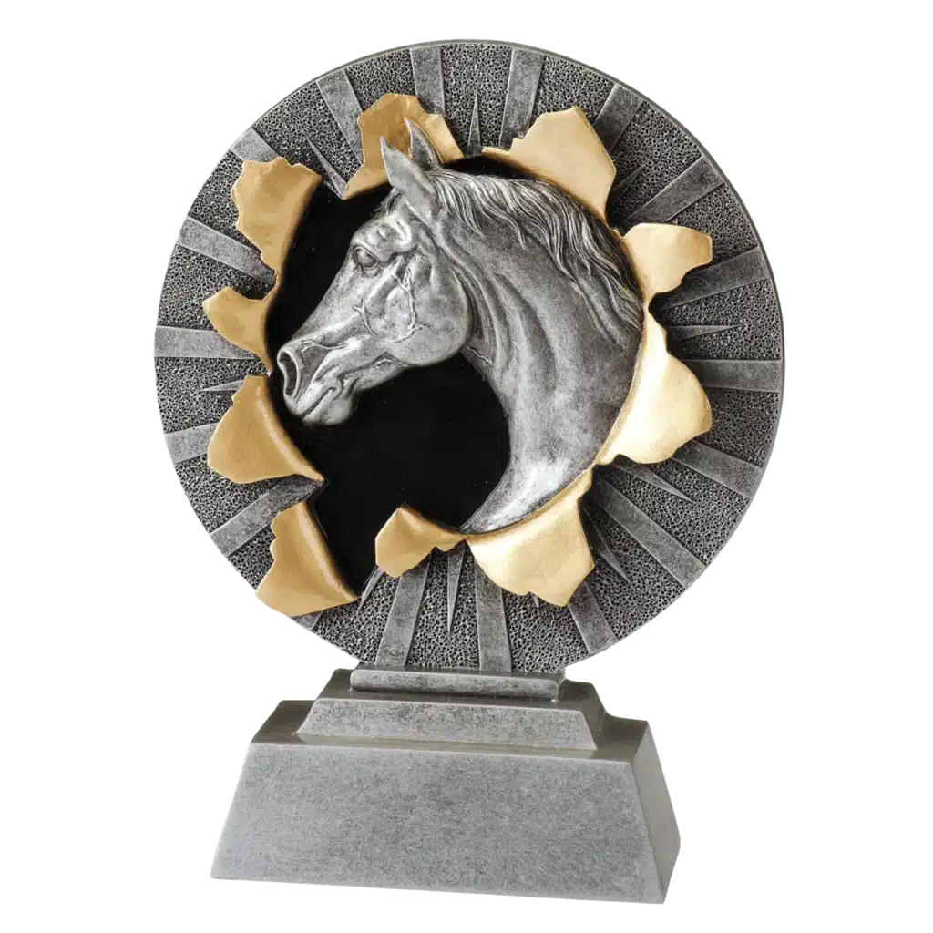 Paarden 9