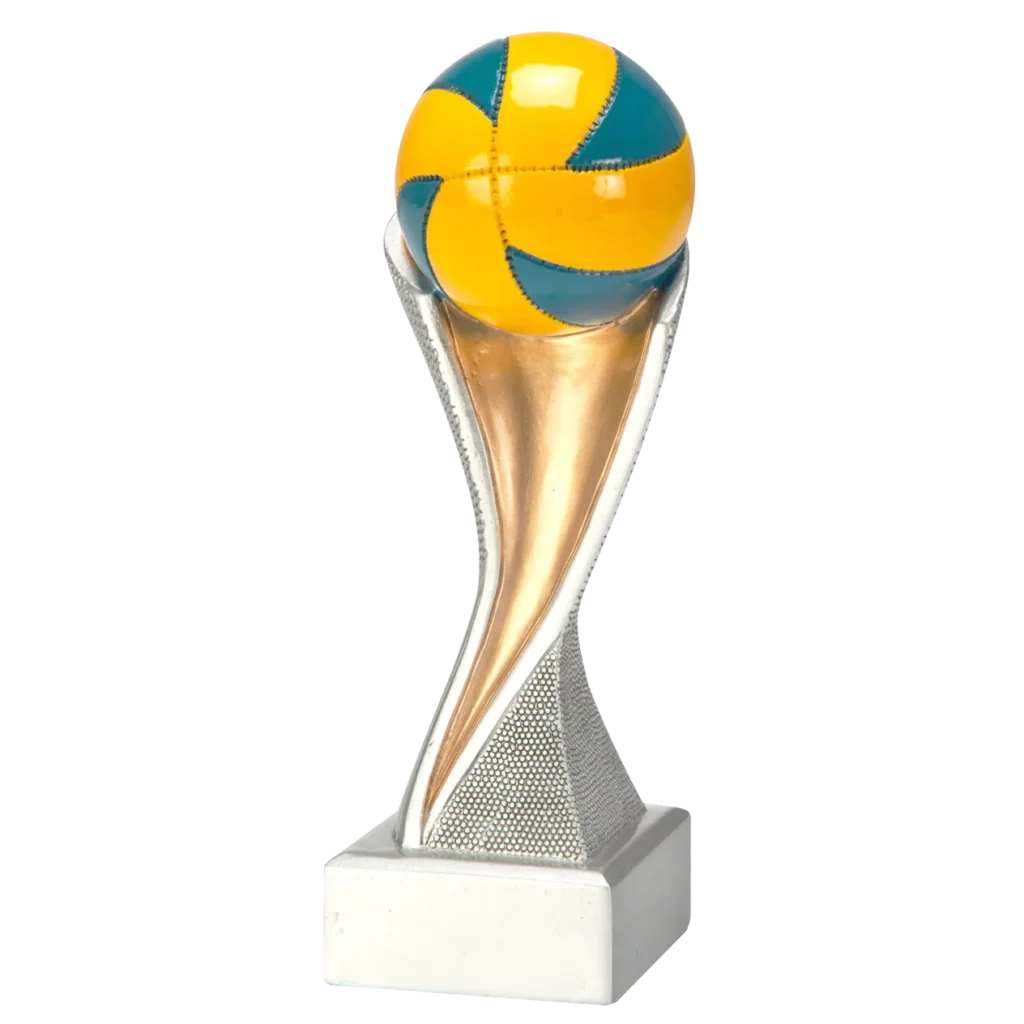 Volleybal 2