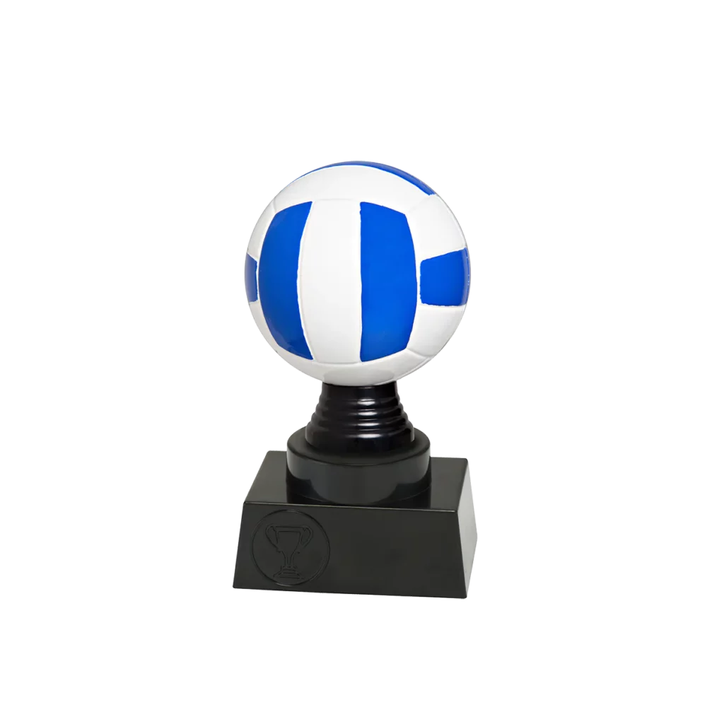 Volleybal 5