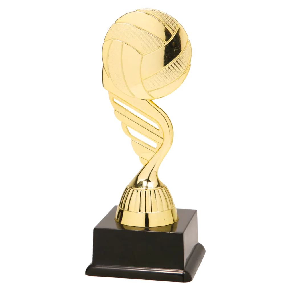 Volleybal 13