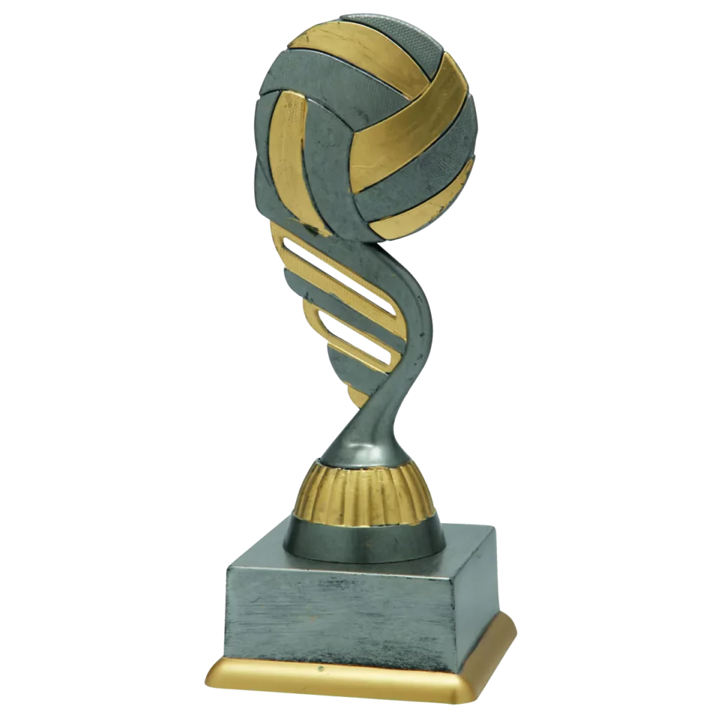 Volleybal 4
