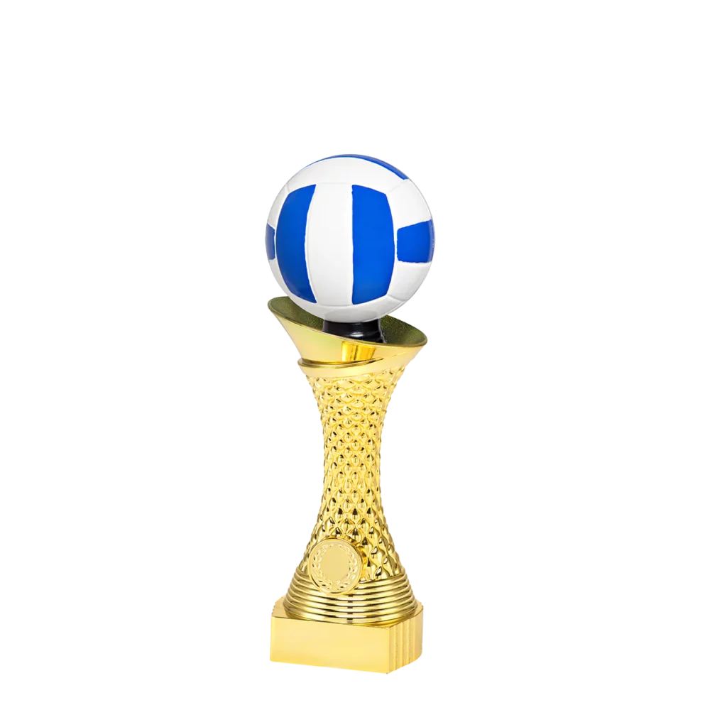 Volleybal 10