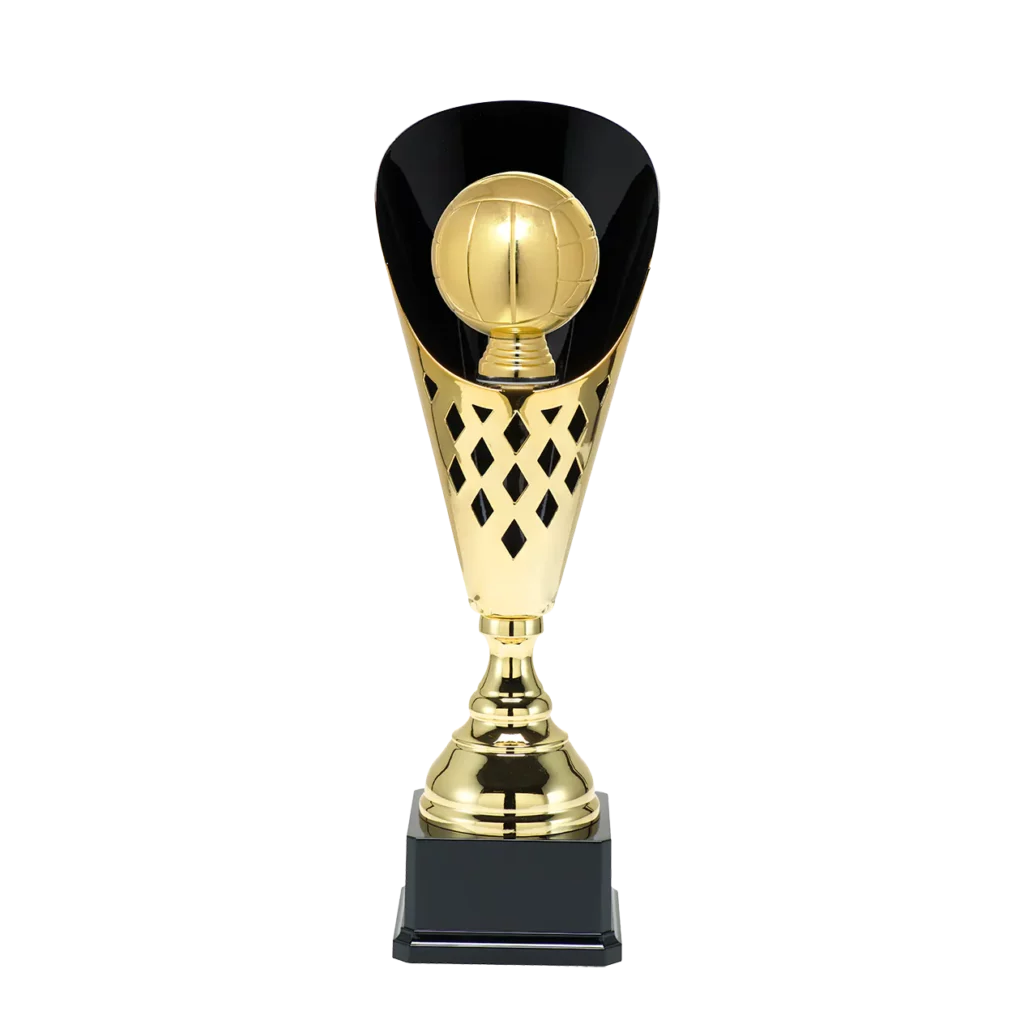 Volleybal 8