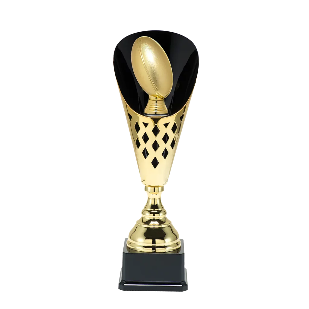 Rugby 6