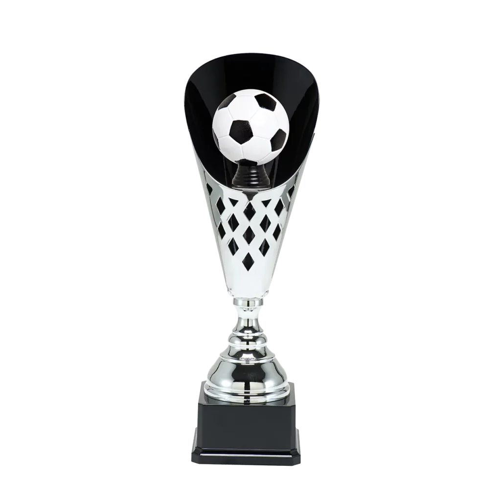 Voetbal 65
