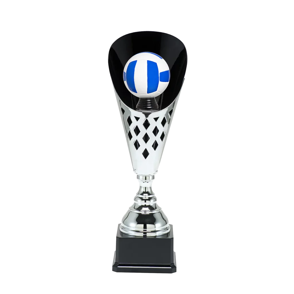 Volleybal 9