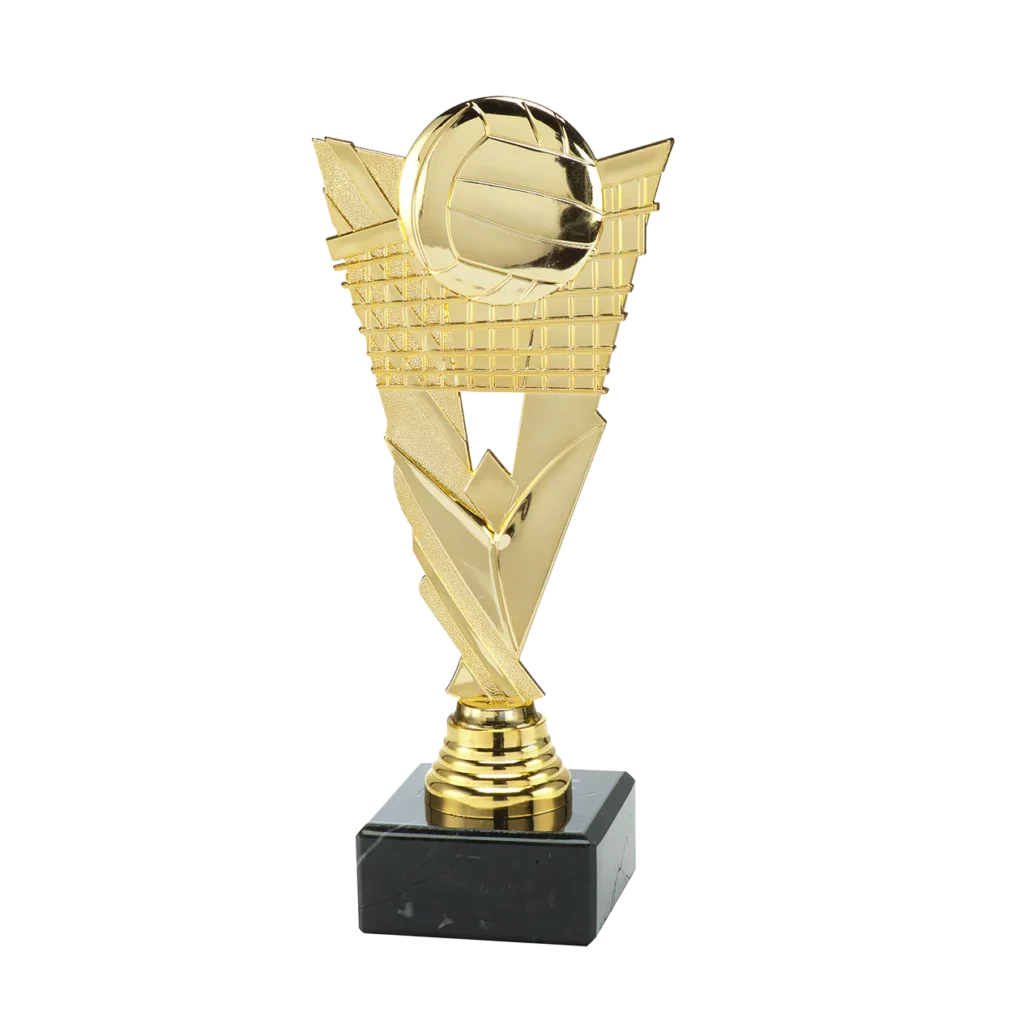 Volleybal 11